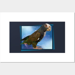 senile parrot Posters and Art